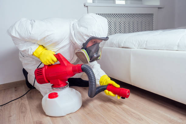 Best Flea Control Services  in Apalachicola, FL