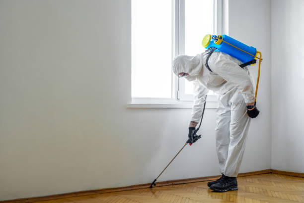 Trusted Apalachicola, FL Pest Control Experts