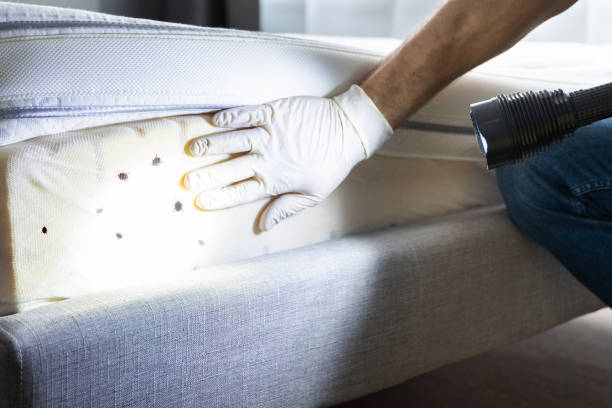 Trusted Apalachicola, FL Pest Control Experts