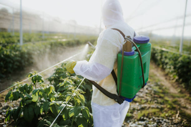 Best Local Pest Control Services  in Apalachicola, FL